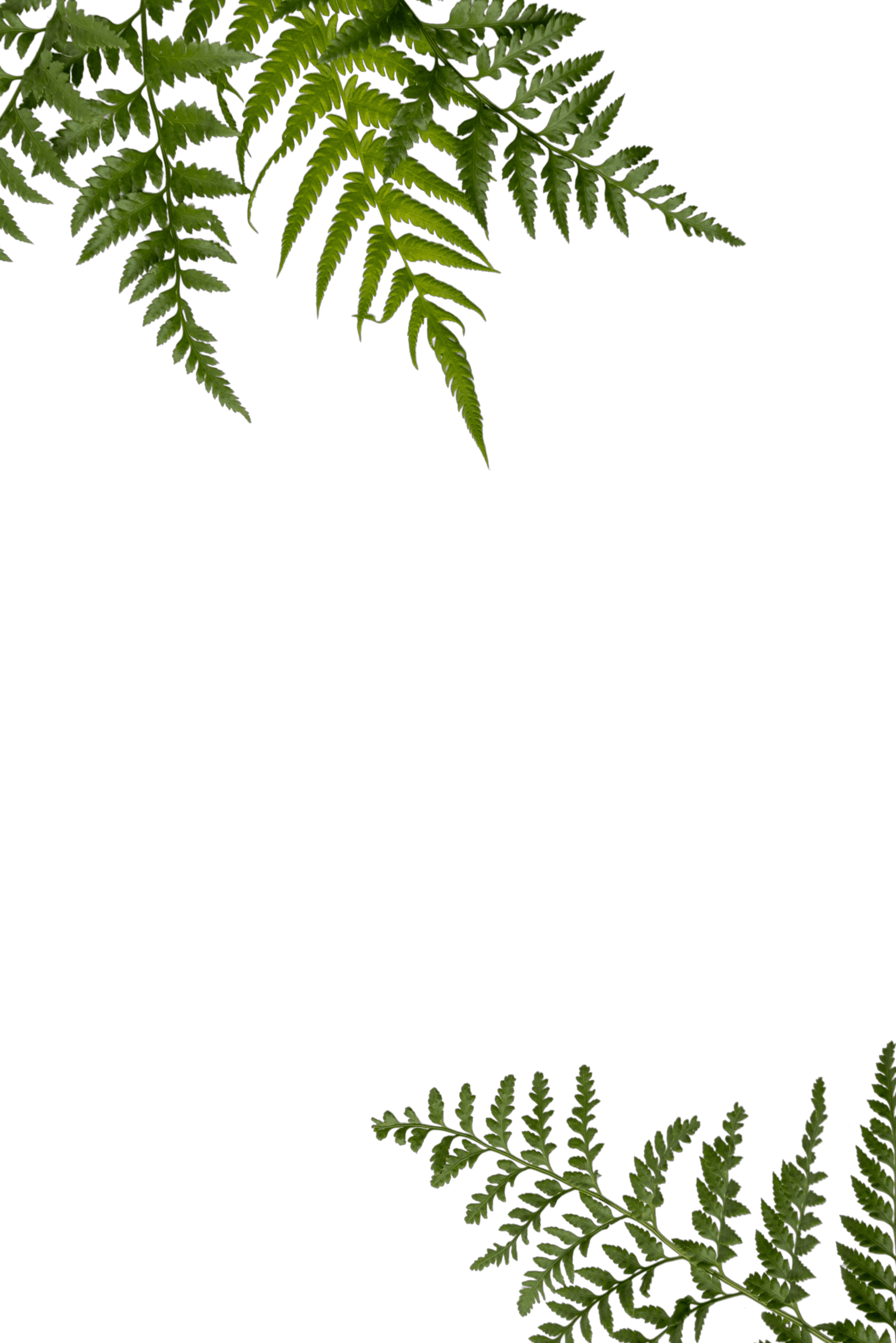 leaves-bg-mobile